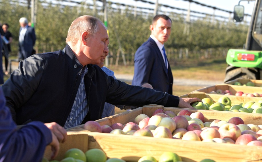 Садоводы Ставрополья показали Путину будущее АПК