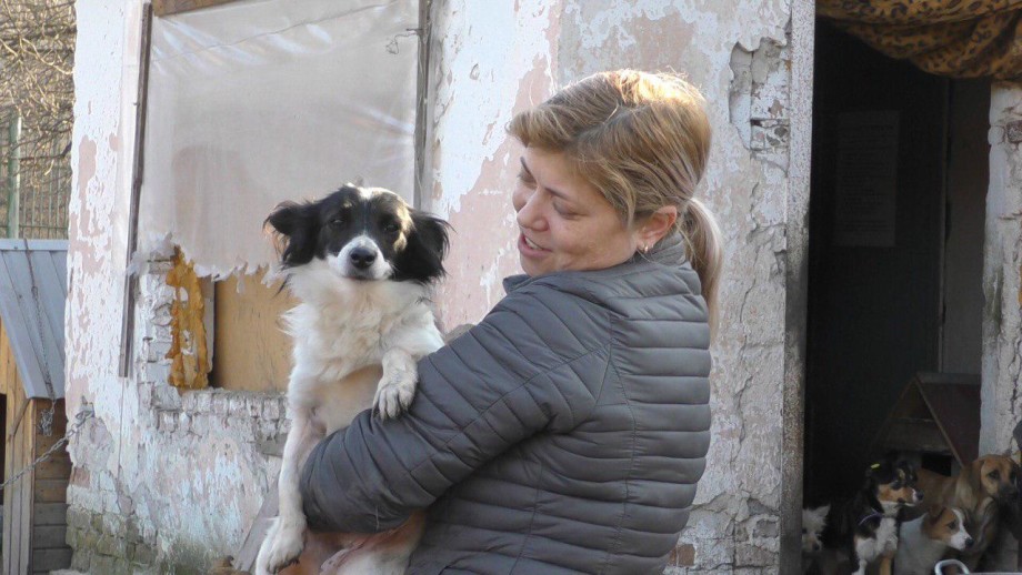 Журналисты «МИРа» подарили бездомным собакам в Нальчике корм и новые вольеры