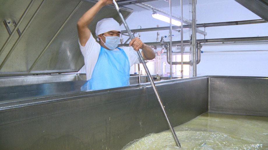 Кусочек Швейцарии: как в Кыргызстане готовят сыр по европейским рецептам