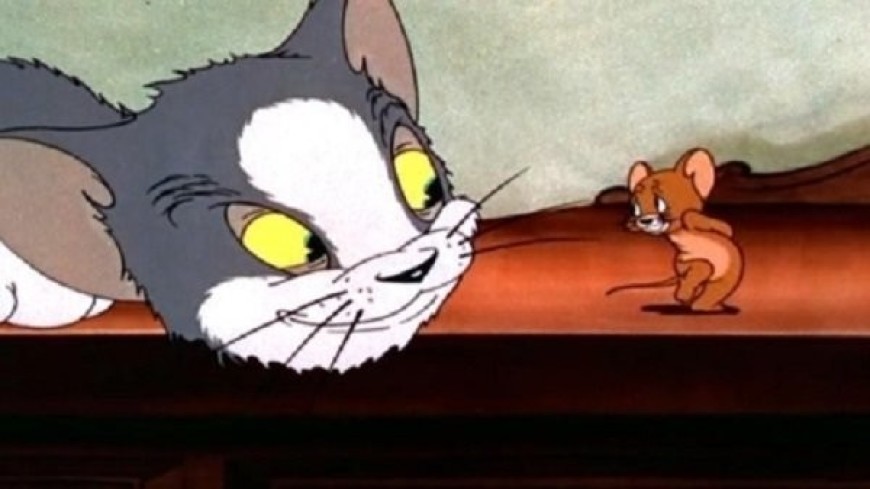 Помните, как звали хозяйку кота? 5 фактов о мультфильме «Том и Джерри»