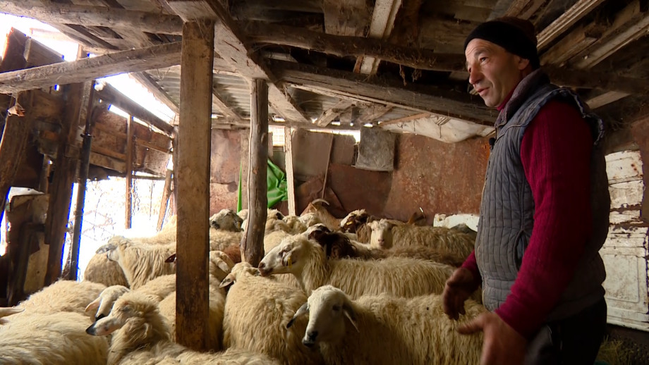Скот за счет государства, «гастродворы» и пособие мамам: в села Армении возвращается жизнь
