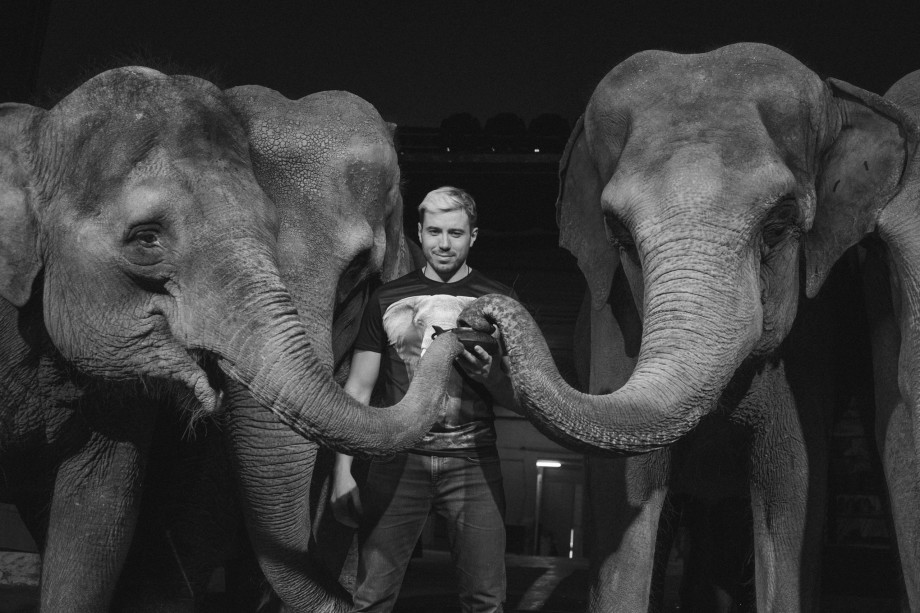 «Цирк – это образ жизни»: Андрей Дементьев-Корнилов о дрессировке слонов, сафари-парке и отношении к животным