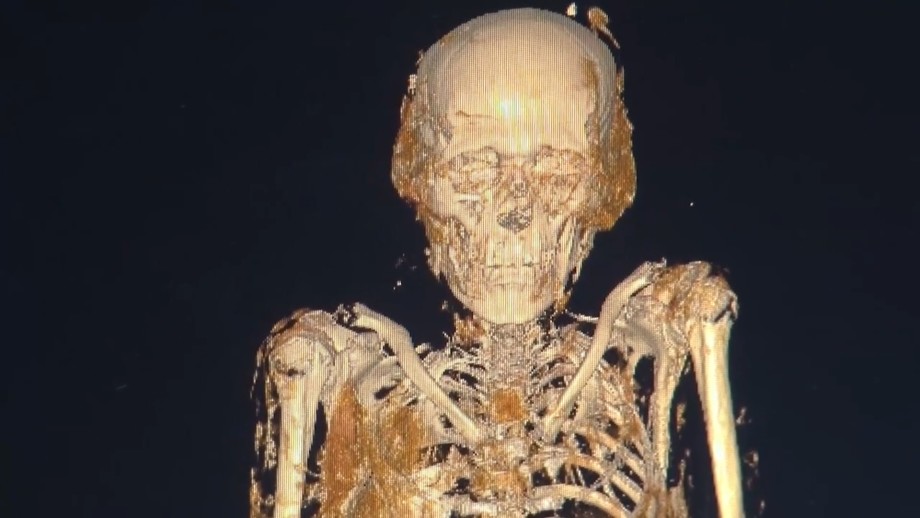 Самозванец в Саркофаге: египетская мумия в Эрмитаже сменила пол и имя