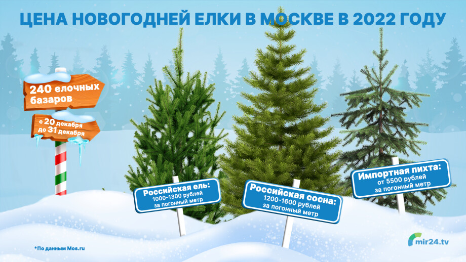 Сколько стоят новогодние елки в Москве в 2022 году? Инфографика