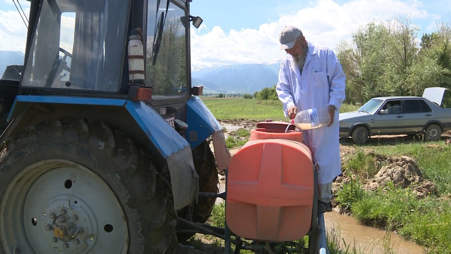 Сделать мир натуральнее. Как в Кыргызстане развивают органическое сельское хозяйство?