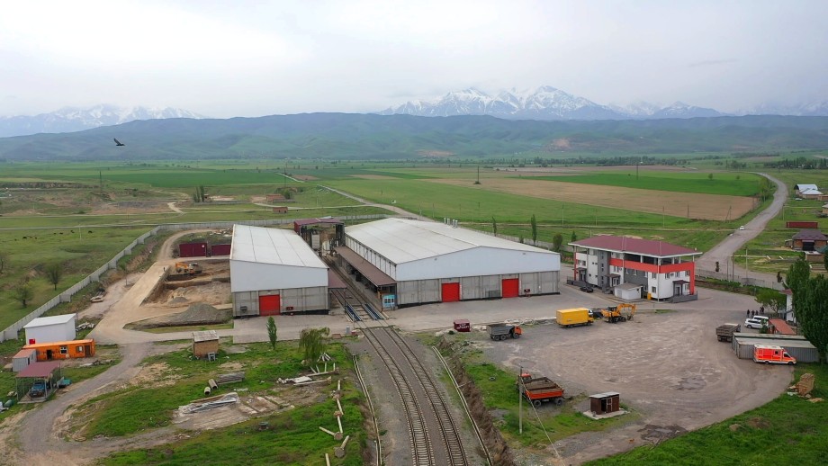 Бобовый рай: как крупнейший в Кыргызстане завод выращивает и экспортирует чечевицу и фасоль