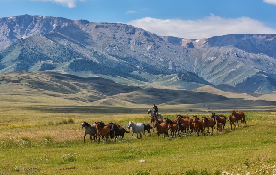 Горы, озера и реки: чем Казахстан привлекает туристов из ОАЭ?