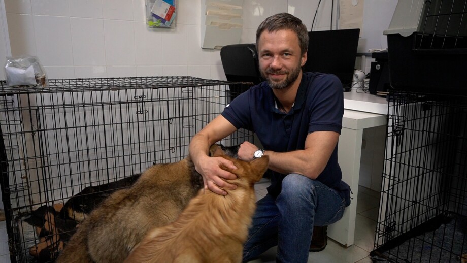 Сергей Пономаренко: Благотворительность для животных – это не только про деньги