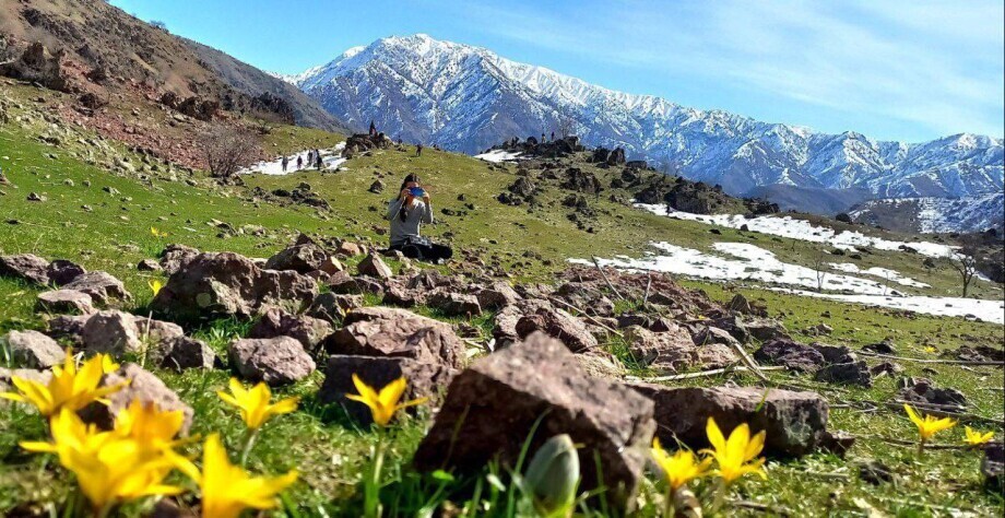 Любимое время года: как встречают весну в Таджикистане?
