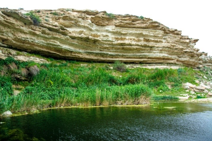 Крепость, озеро и черепахи: что таит урочище Саура на западе Казахстана?