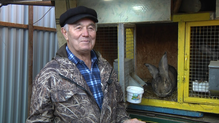 Не только мех: пенсионер из Владикавказа выращивает кроликов-гигантов