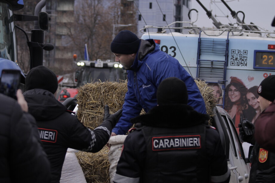 Убытки в миллиарды леев: фермеры в Молдове снова протестуют