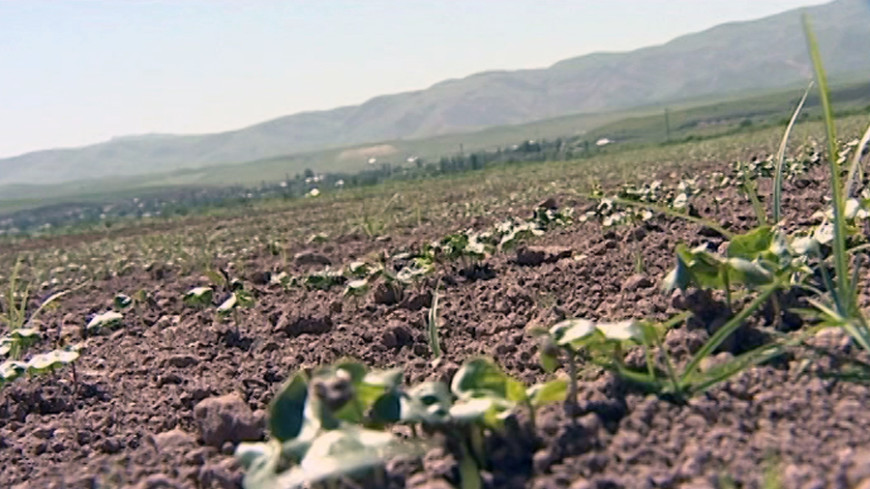 США предоставят фермерам Молдовы кредит