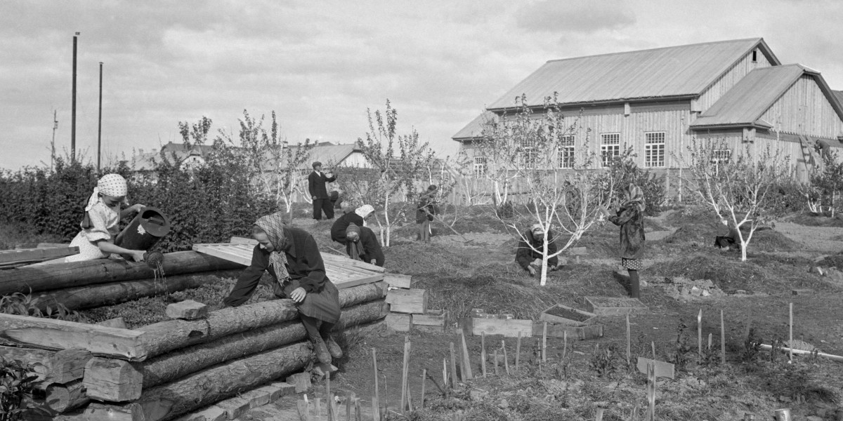 Колхозное строительство. Деревня колхоз. Советская Колхозная деревня. Стройка в деревне СССР. Колхоз 1940.