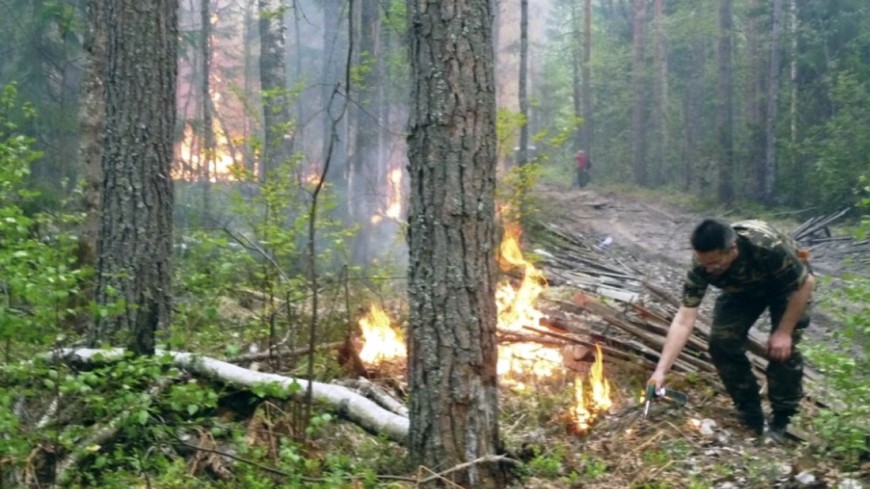 Фото: &quot;пресс-служба МЧС России&quot;:http://www.mchs.gov.ru/ _(автор не указан)_, лесной пожар