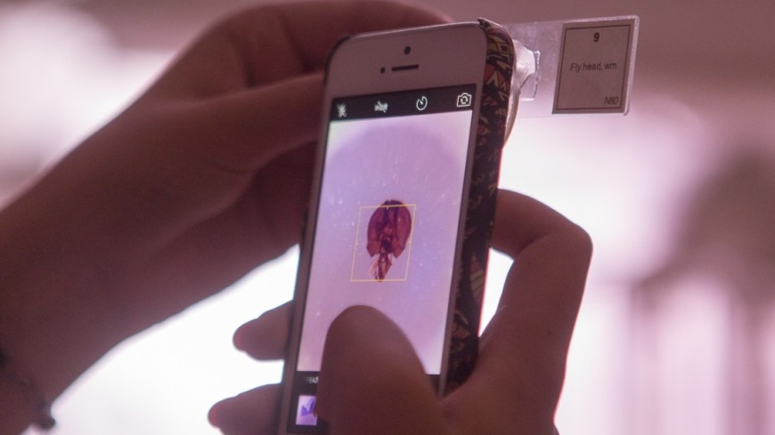 Журналист продемонстрировал первый сделанный на iPhone снимок