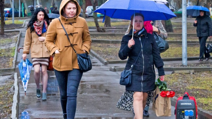 Синоптики: Месячная норма по осадкам в Москве почти выполнена