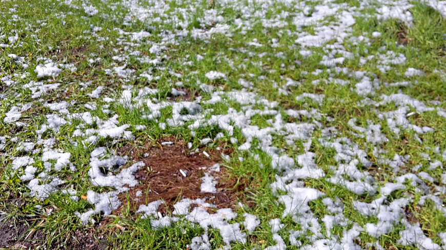В Молдове подсчитали убытки от апрельского снега