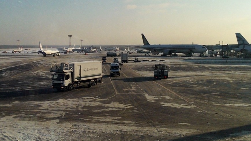 Фото: Елизавета Шагалова, &quot;«МИР 24»&quot;:http://mir24.tv/, аэропорт домодедово, домодедово, аэропорт