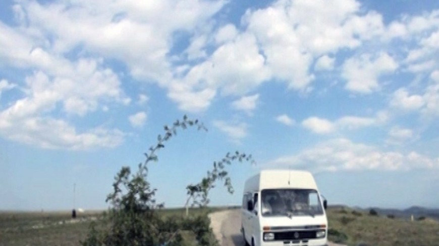 В Грузии шестеро детей выпали из микроавтобуса