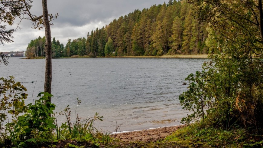 Новая королева: семилетняя девочка отыскала в озере легендарный Экскалибур