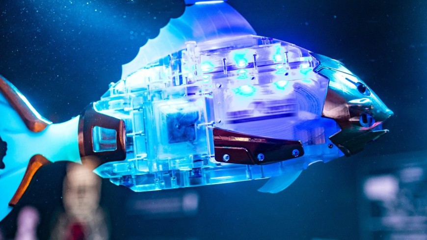 Лещи на «механике»: первый в России аквариум с рыбами-роботами установили на ВДНХ