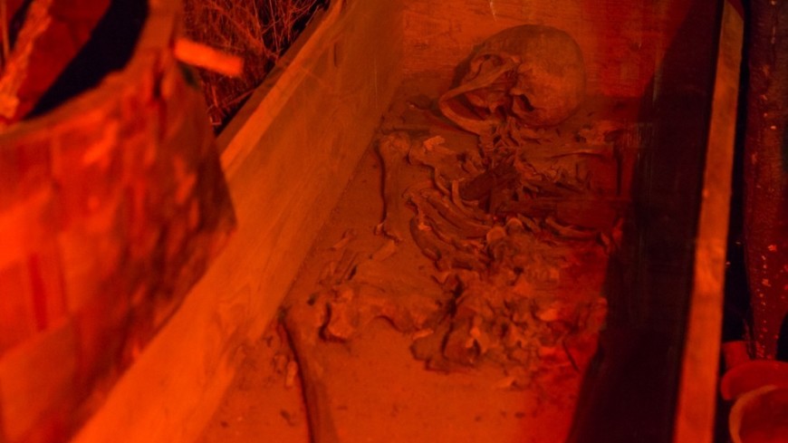 Фото: Максим Кулачков, &quot;«Мир 24»&quot;:http://mir24.tv/, гроб, кости, раскопки