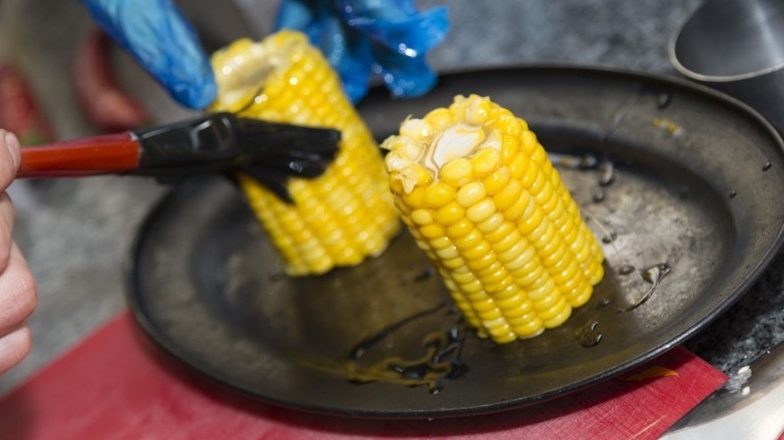 Генно-модифицированную кукурузу назвали полезной для здоровья