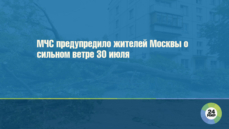 МЧС предупредило жителей Москвы о сильном ветре 30 июля