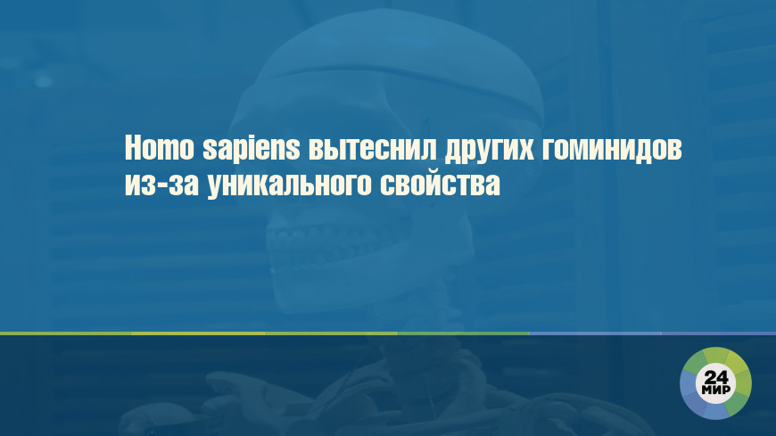 Homo sapiens вытеснил других гоминидов из-за уникального свойства