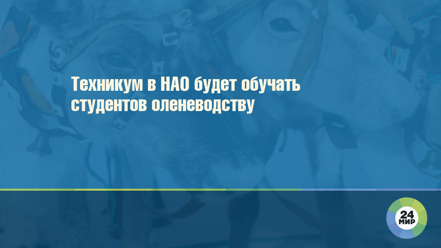 Техникум в НАО будет обучать студентов оленеводству