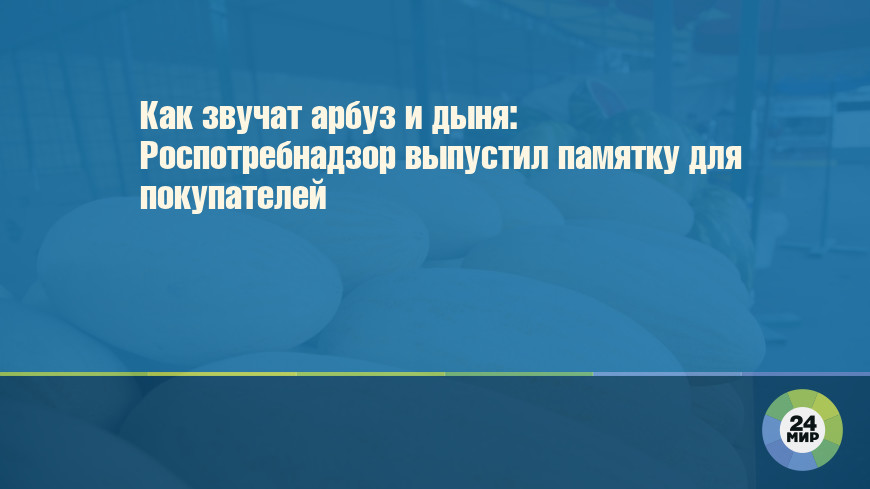 Как звучат арбуз и дыня: Роспотребнадзор выпустил памятку для покупателей