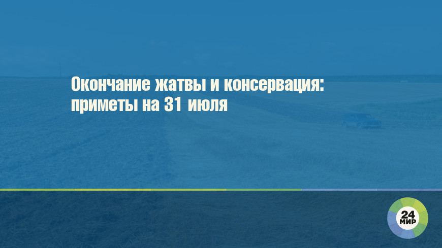 Окончание жатвы и консервация: приметы на 31 июля