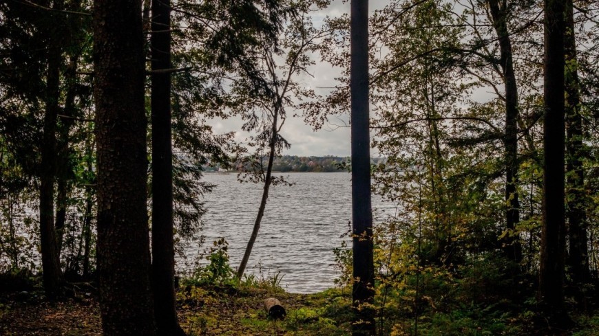 Фото: Марина Дыкун (МТРК «Мир») &quot;«Мир 24»&quot;:http://mir24.tv/, природа, озеро валдай, лес, озеро