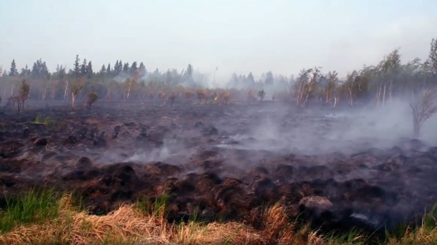 Дым лесных пожаров окутал сотни поселков Сибири и Дальнего Востока