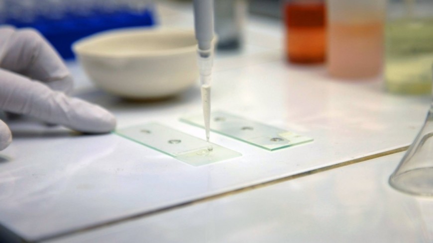 Ученые удалили все следы ВИЧ из тела «очеловеченных» мышей