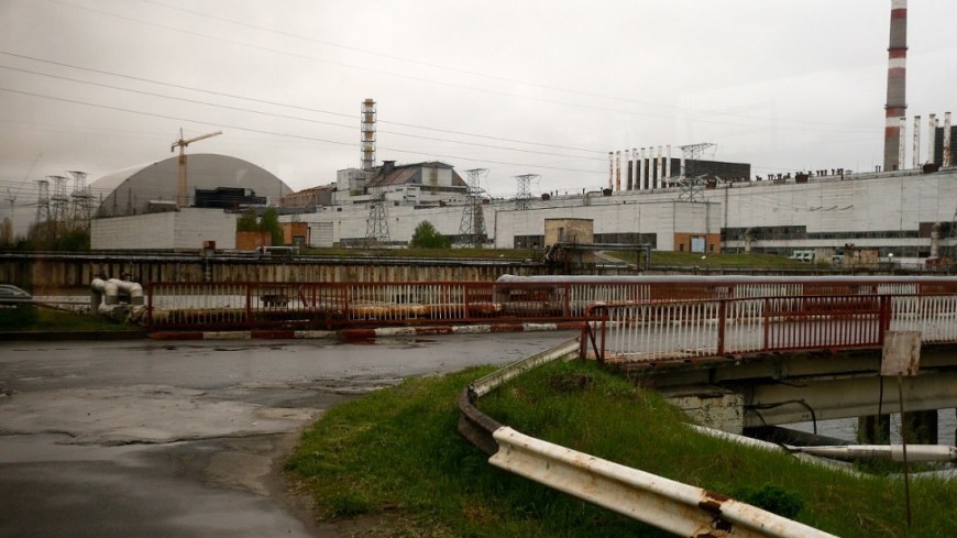Тайна Чернобыля: почему растения не погибают от радиации