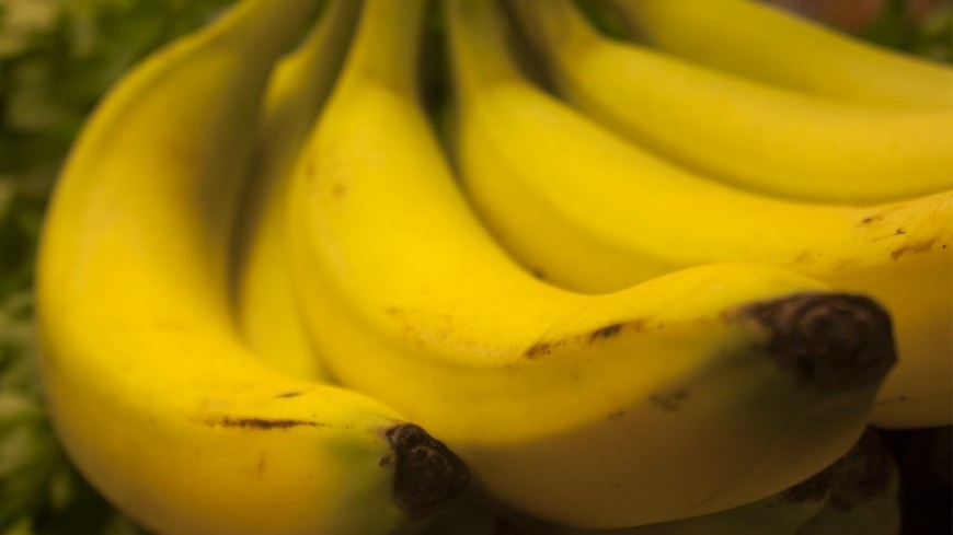 © Фото: &quot;Елена Андреева, «Мир 24»&quot;:http://mir24.tv/, бананы
