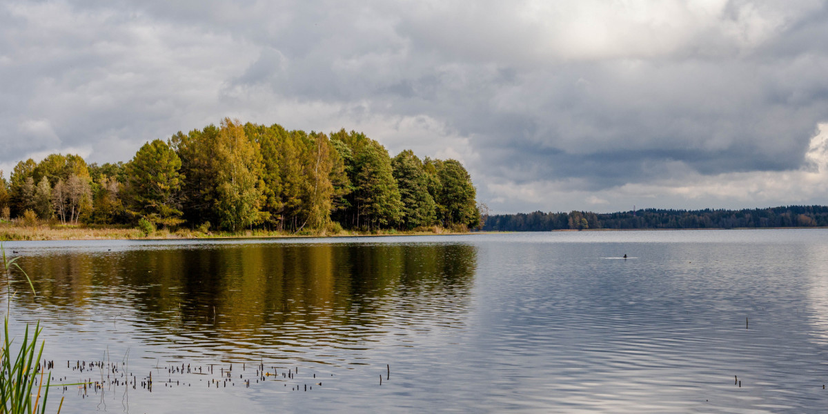 Lake на русском. Озеро русское чистые пруды. Киров озеро. Оз русское Киров. Озеро в чистых прудах Киров.