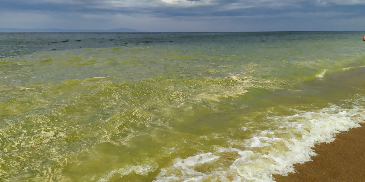 Маленькое пресноводное море. Пресное море. Пресное море в мире. Несоленое море. Самое несоленое море.