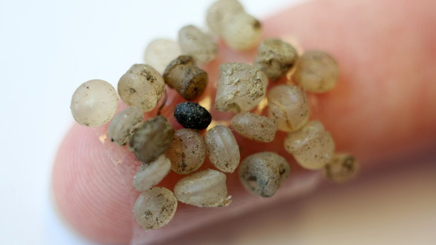 Микропластик в океане оказался способен переносить опасные патогены