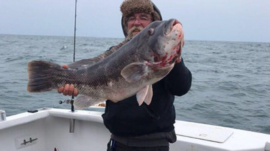 Американец поймал у берегов Нью-Джерси губана-таутогу весом 11,5 кг