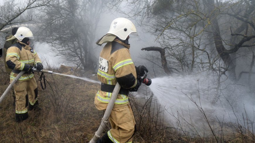 За сутки в России потушили 134 лесных пожара