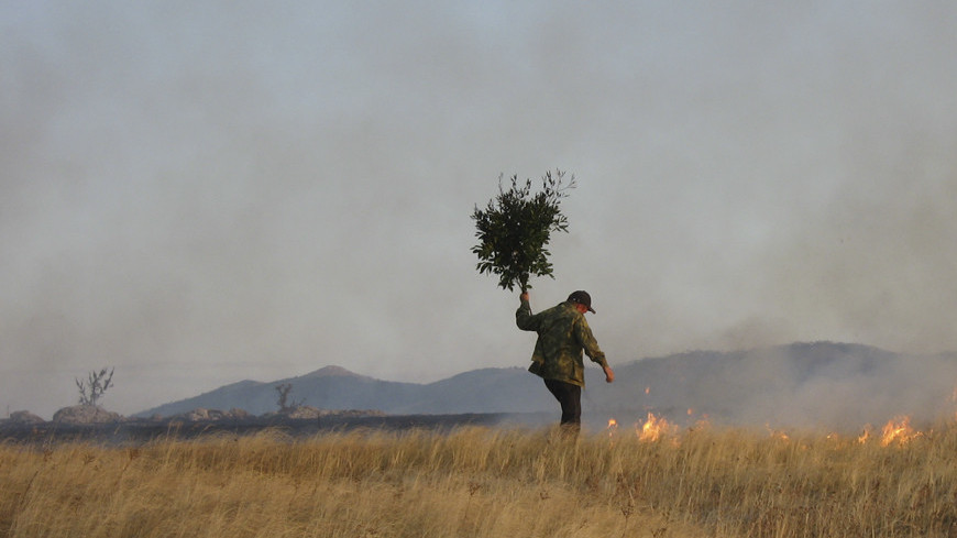 Фото: Елизавета Шагалова, &quot;«МИР 24»&quot;:http://mir24.tv/, лесные пожары, лесной пожар