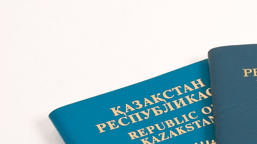 Электронные паспорта в странах Содружества