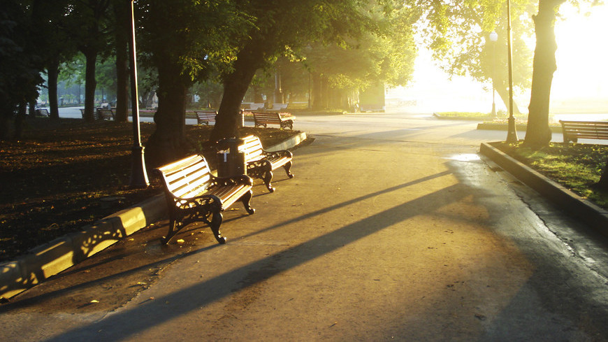 Фото: Елена Карташова, &quot;«Мир 24»&quot;:http://mir24.tv/, утро, парк, сквер, скамья, рассвет