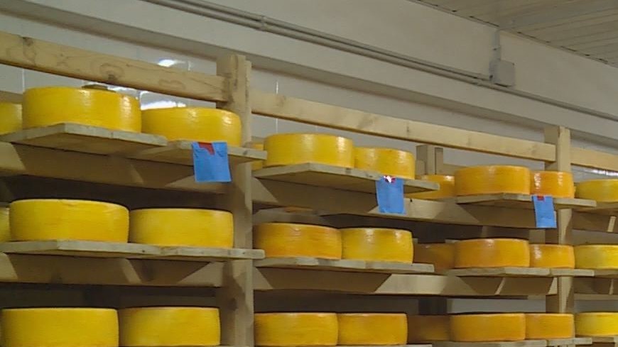 В магазине продается несколько видов сыра. Меркенский сырзавод. Меркенский молочный завод. Поставщики сыра в Кыргызстане. Бурненский сырзавод.