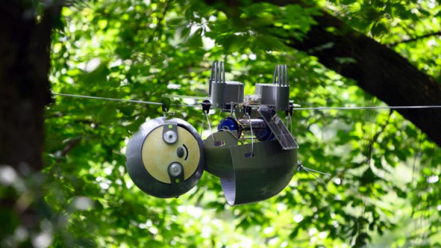 Робот-ленивец будет наблюдать за природой годами (ФОТО)