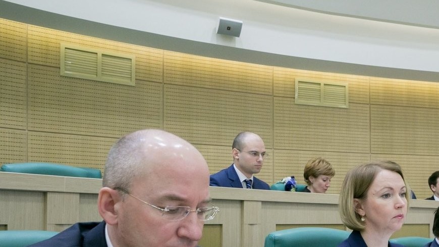 Сенатор от Челябинской области Гехт подала заявление об отставке