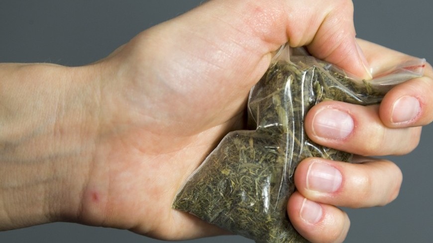 Сколько марихуаны можно курить за раз как посадить семена конопли